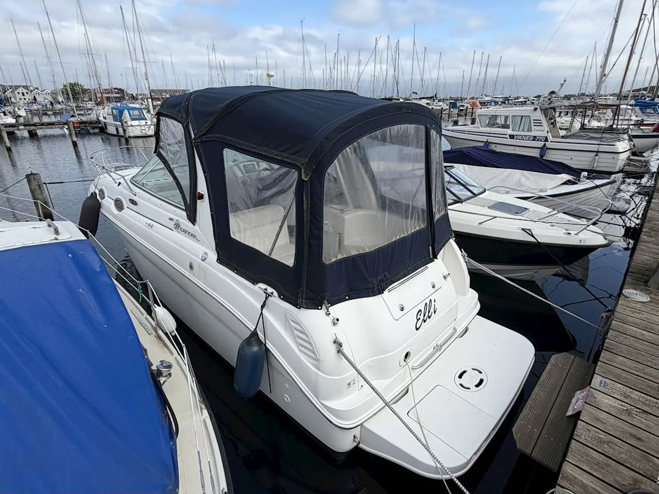 Billede 4 - Sea Ray 260 Sundancer