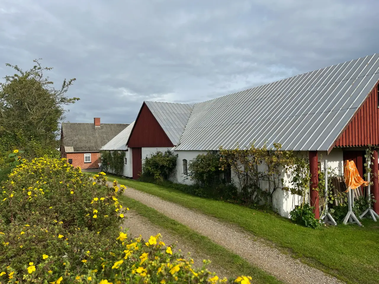 Billede 1 - Grund ved Limfjorden og Glyngøre på ca. 9000m2.
