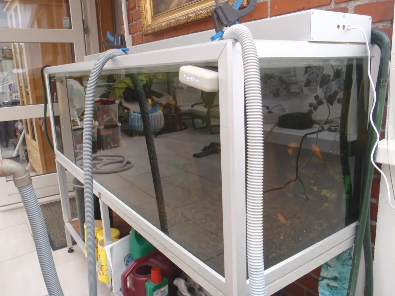 Billede 2 - Stort akvarie 400 liters..