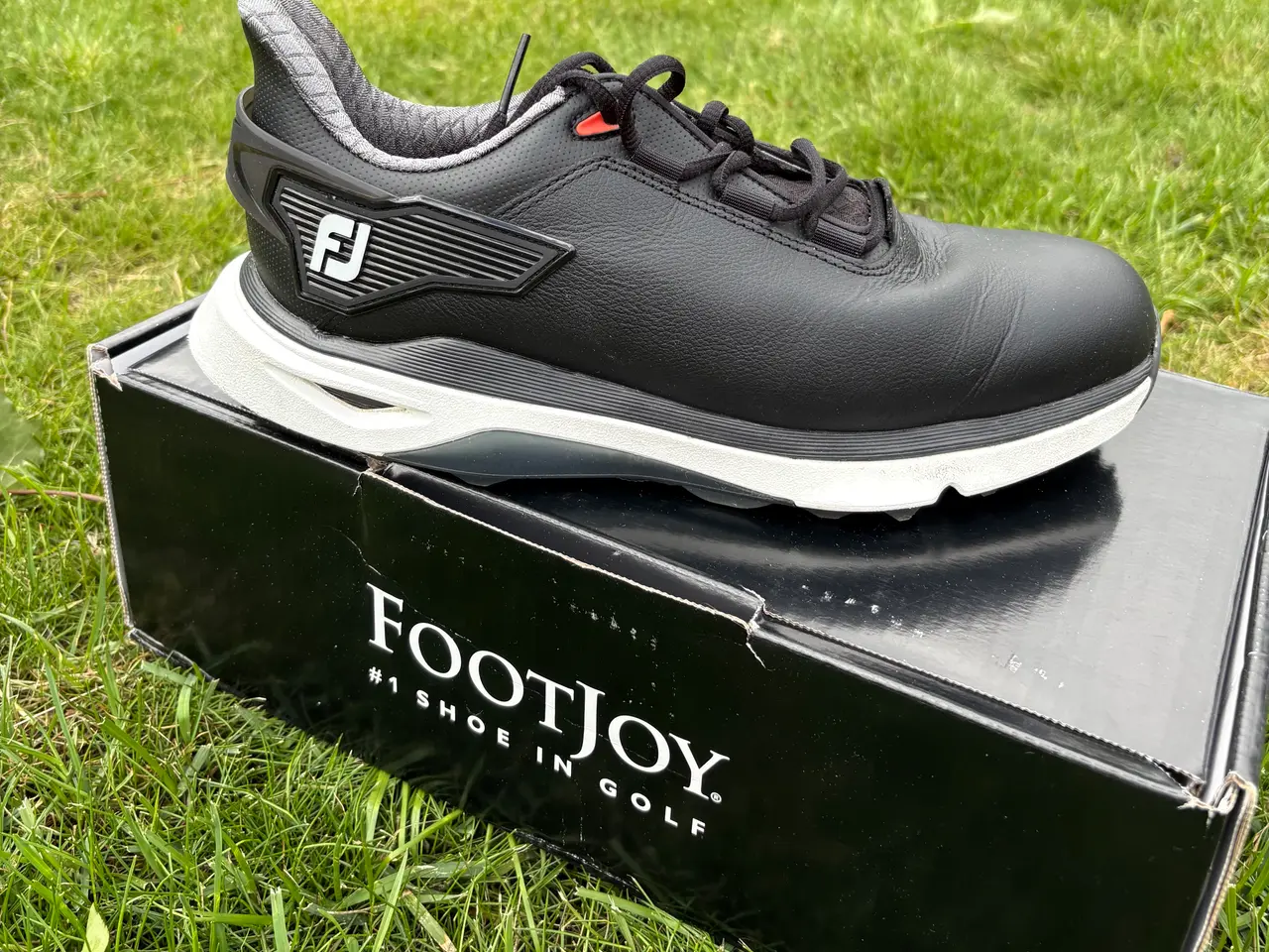 Billede 2 - Golfsko, Footjoy PRO/SLX (str 7/40,5)