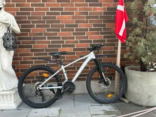 Købt til 3900 kr 24 tommer