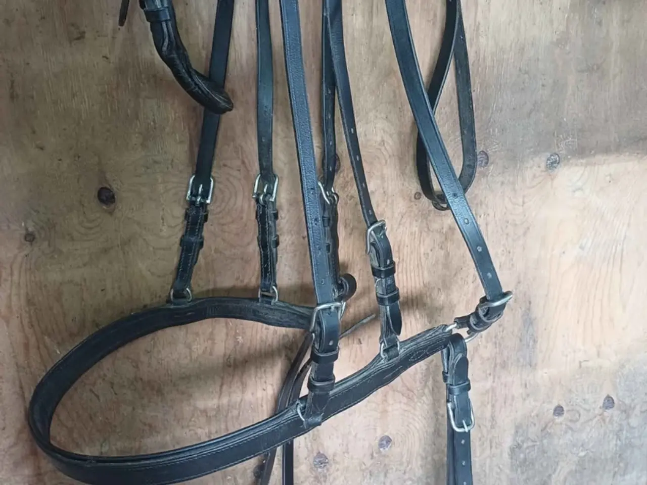 Billede 3 - Enspænder Saletsele pony