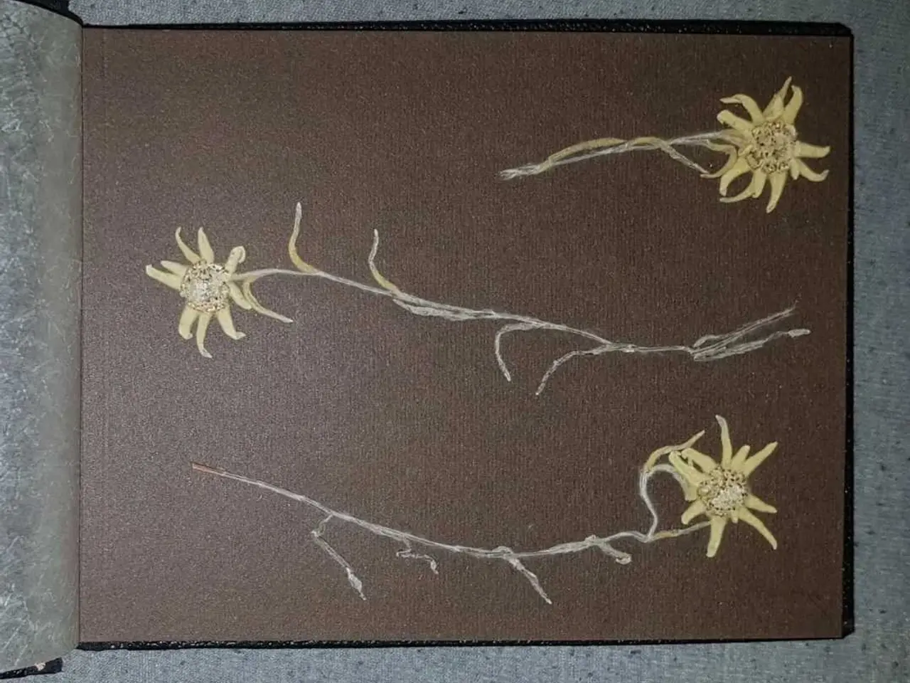 Billede 3 - Fotoalbum fra Østrig