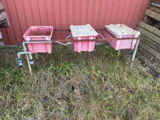 Drikkeautomat til høns og kyllinger.