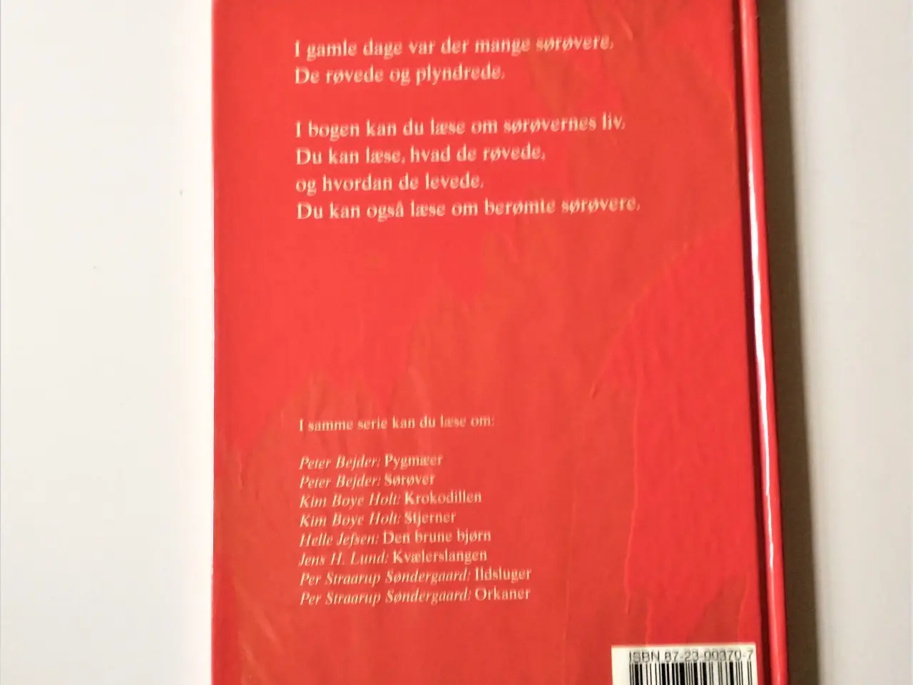Billede 2 - Sørøvere. Af Peter Bejder