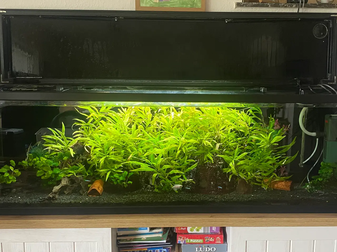 Billede 2 - Specielt bygget 280L akvarie