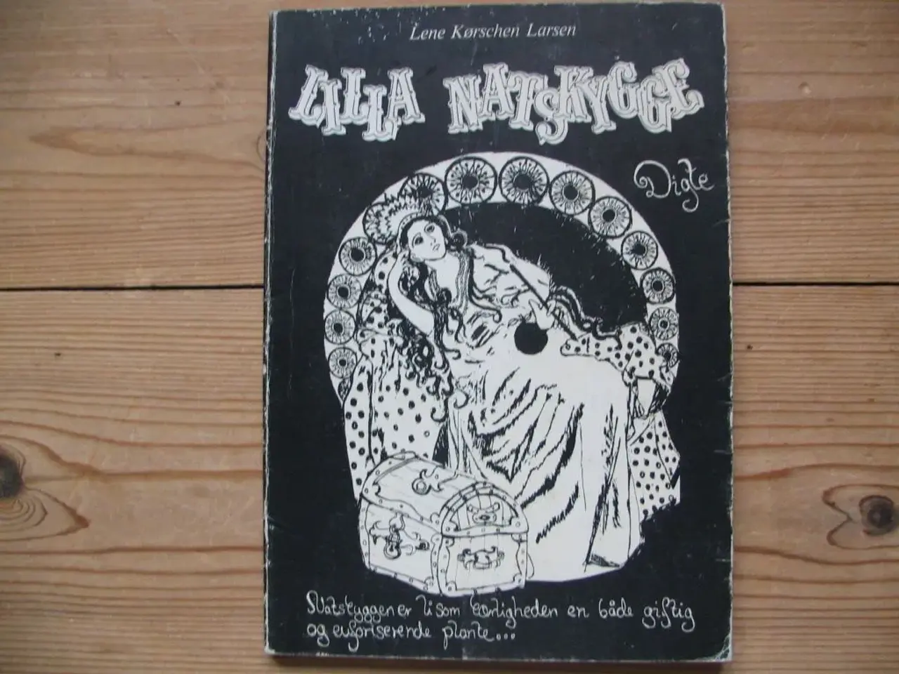 Billede 1 - Lene Kørschen Larsen. Lilla natskygge