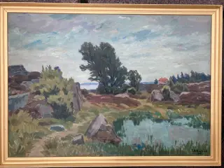 Einar Nielsen Korlind Grønnedal Allingr