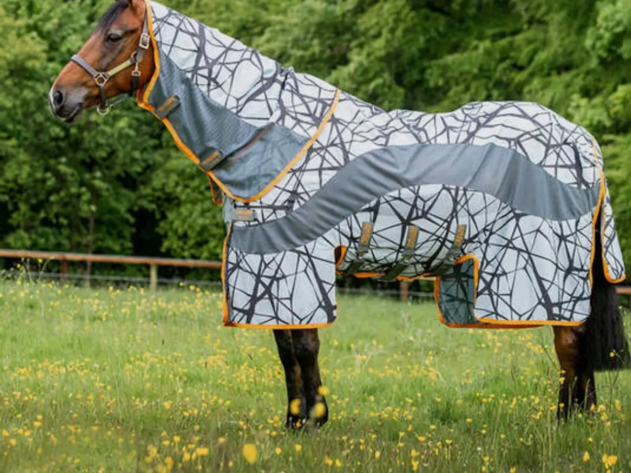 Billede 1 - Amigo 3 i 1 camofly insekt / regn str 145