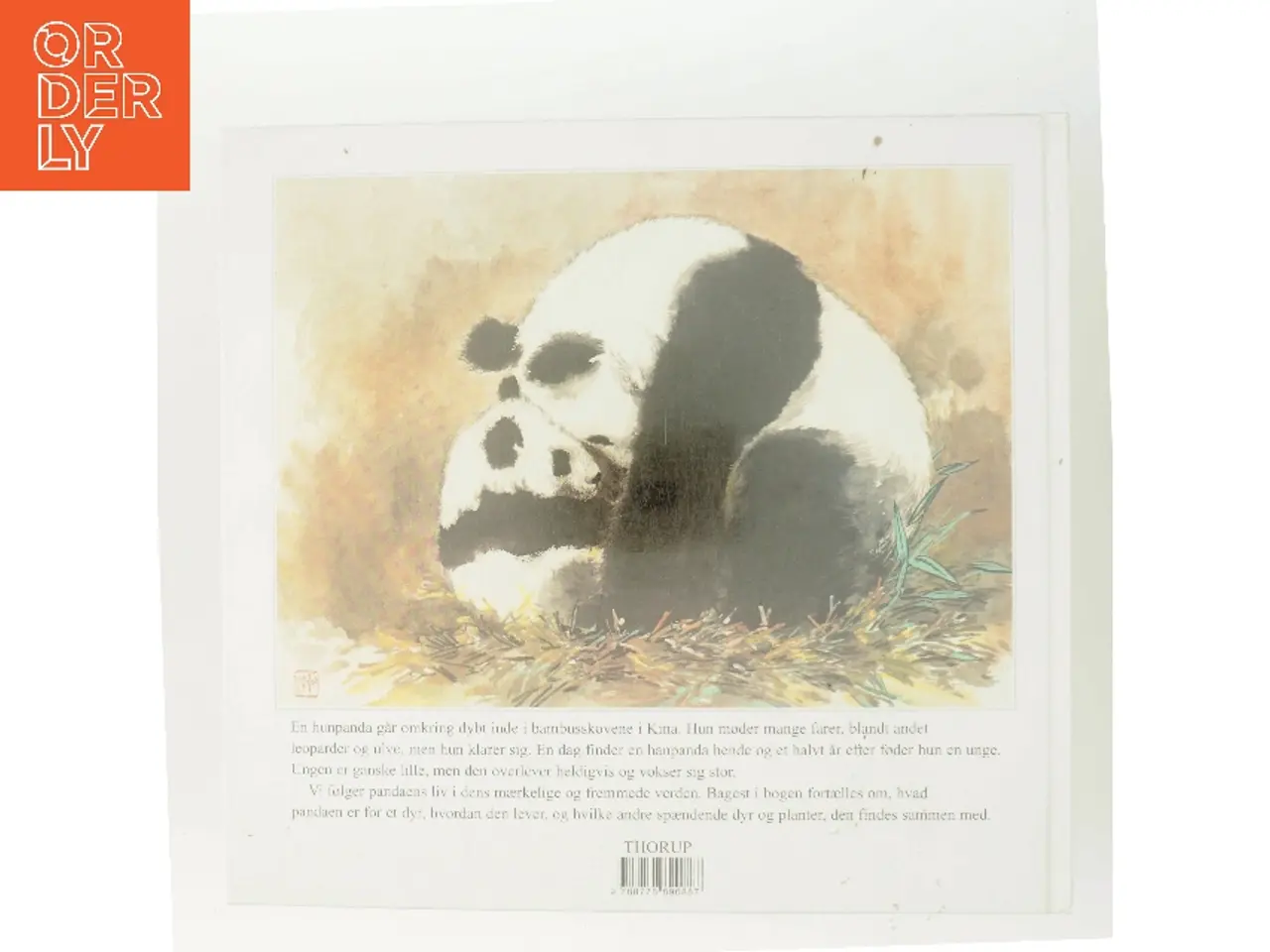 Billede 3 - I pandae ns verden af Han Geng (Bog)