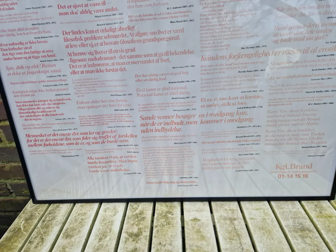 Billede 4 - Plakat med berømte citater