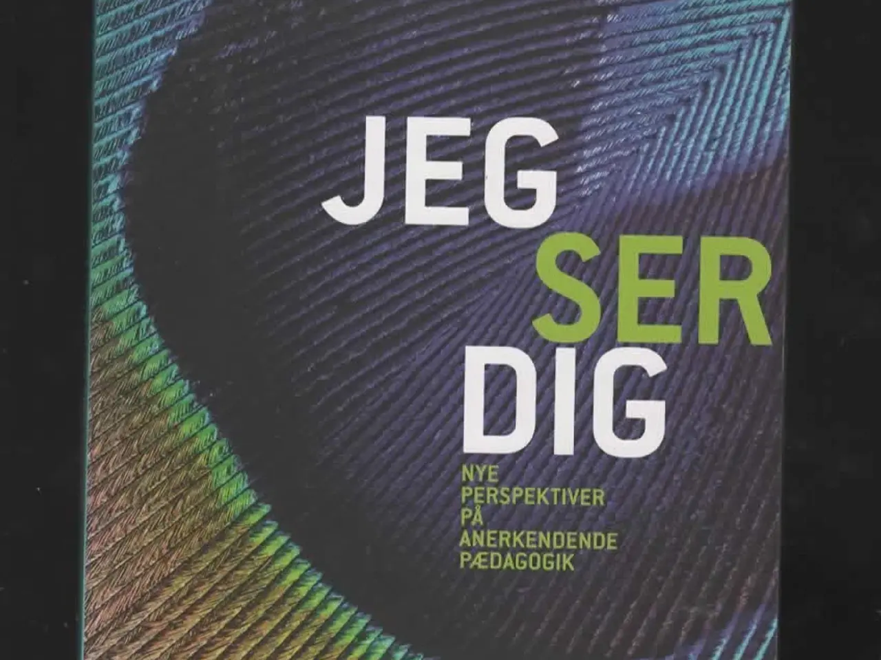 Billede 1 - pædagogik