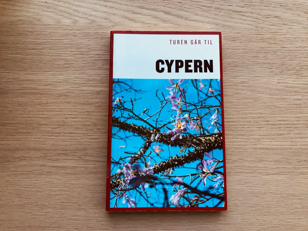 Billede 1 - Turen går til Cypern