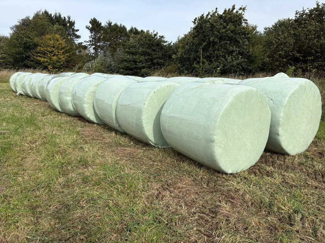Billede 1 - Wrap
