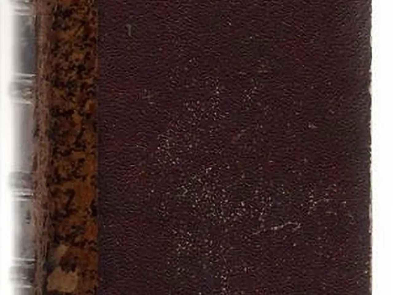 Billede 1 - Nær og Fjern Novellebibliothek bd. 6