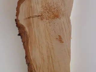 NY Thuja Træskive 29 cm til kreative projekter