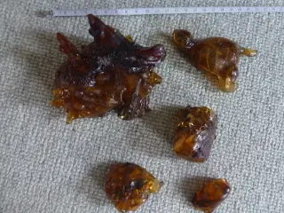 Copal ("ungt rav").