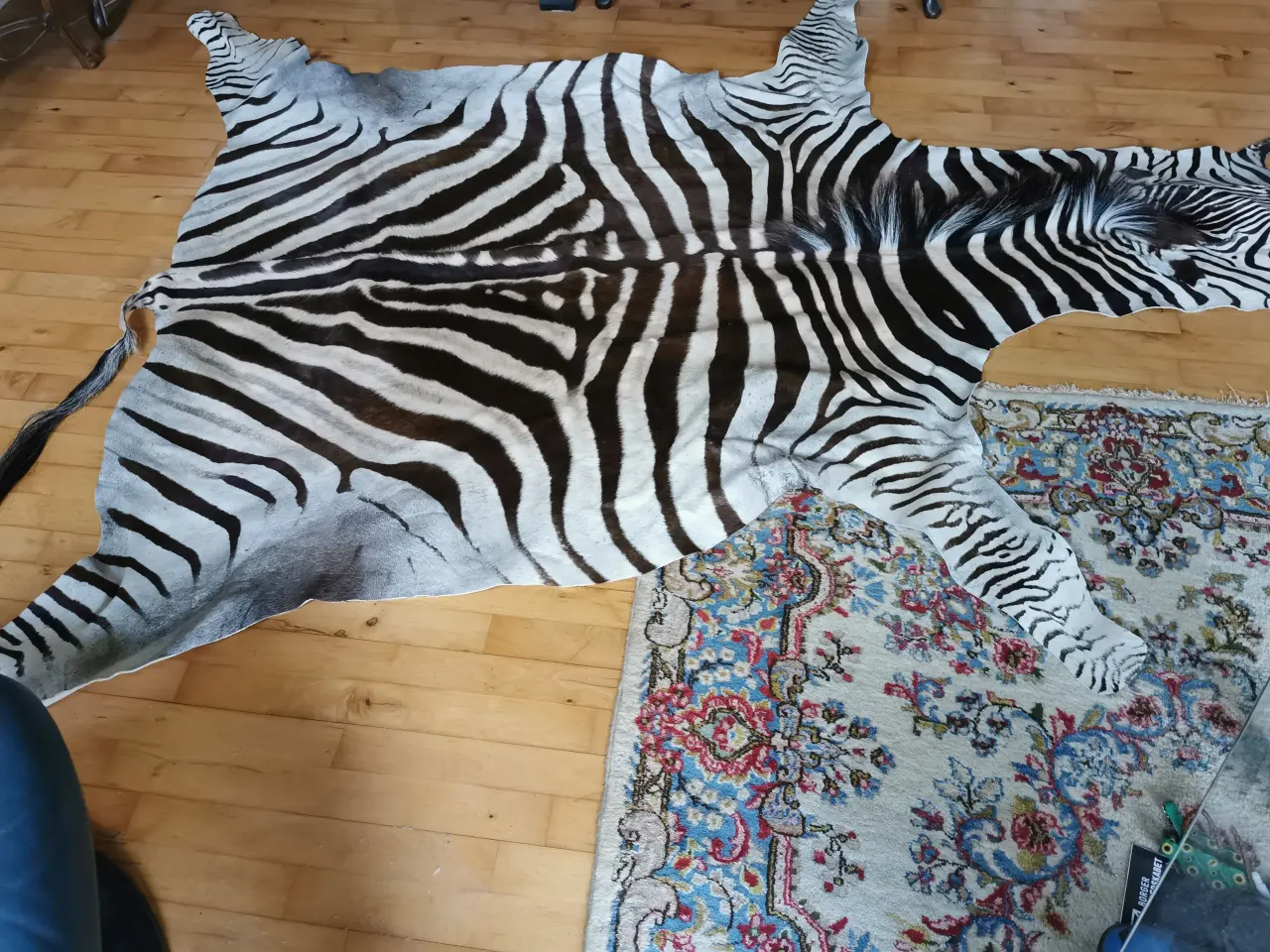 Billede 3 - zebra skind