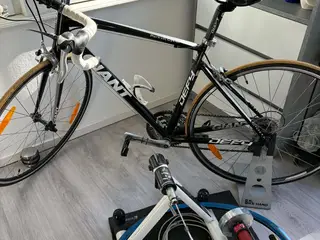 Racercykel Giant Dafy 24 gear Medium