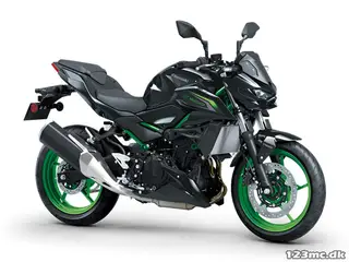 Kawasaki Z 500 SE