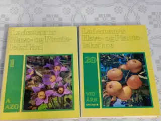 Lademanns plante og haveleksikon 20 bind  register