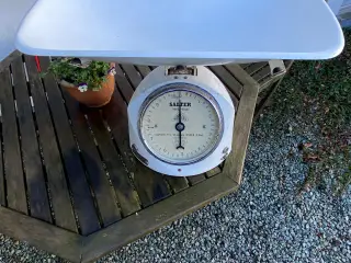 Vægt