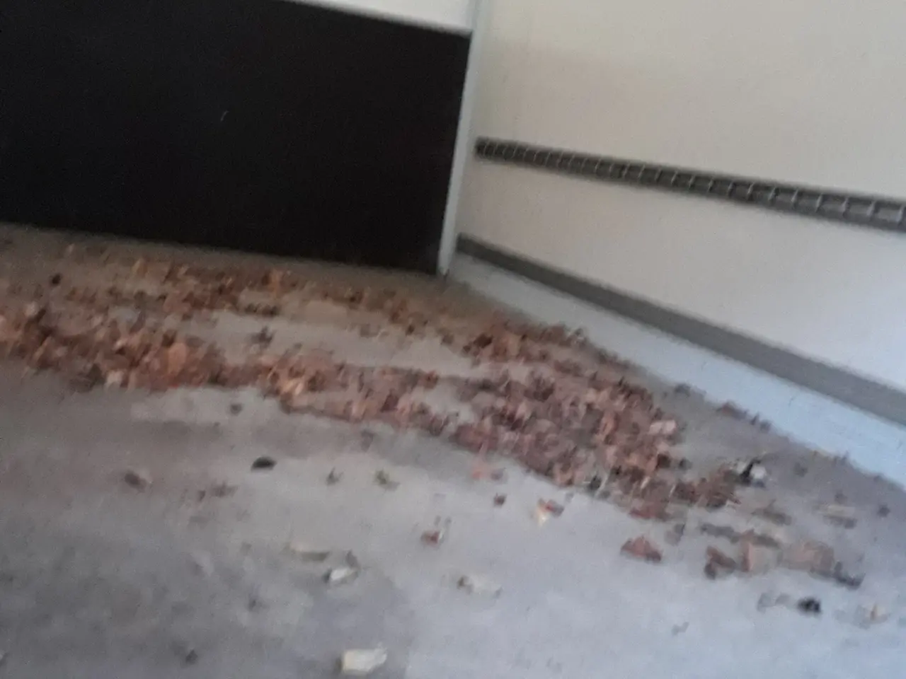 Billede 4 - 5 lastbiler fra 7 til 12 tons. til eksport el. DK.