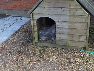 Hundehus