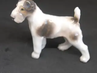 Dahl Jensen 1118 ruhåret Foxterrier