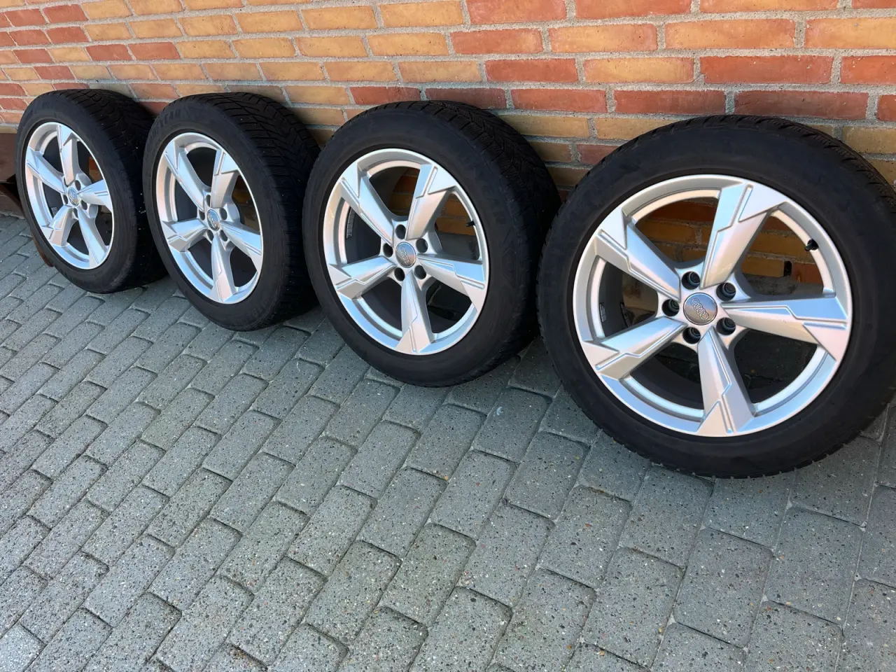 Billede 1 - Audi fælde