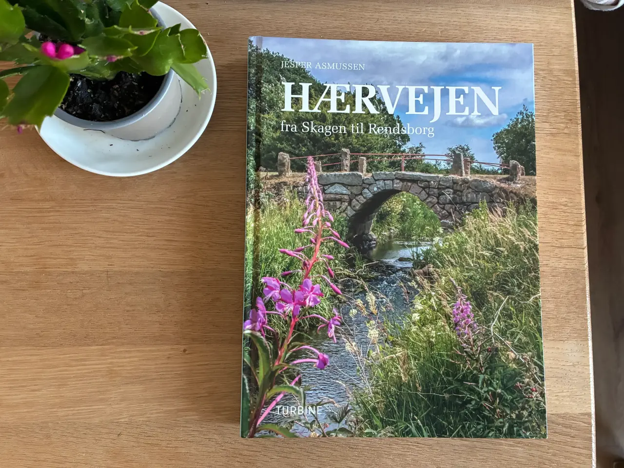 Billede 1 - HÆRVEJEN fra Skagen til Rendsborg