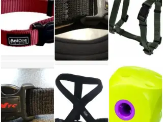 Hundehalsbånd og aktivetslegetøj 