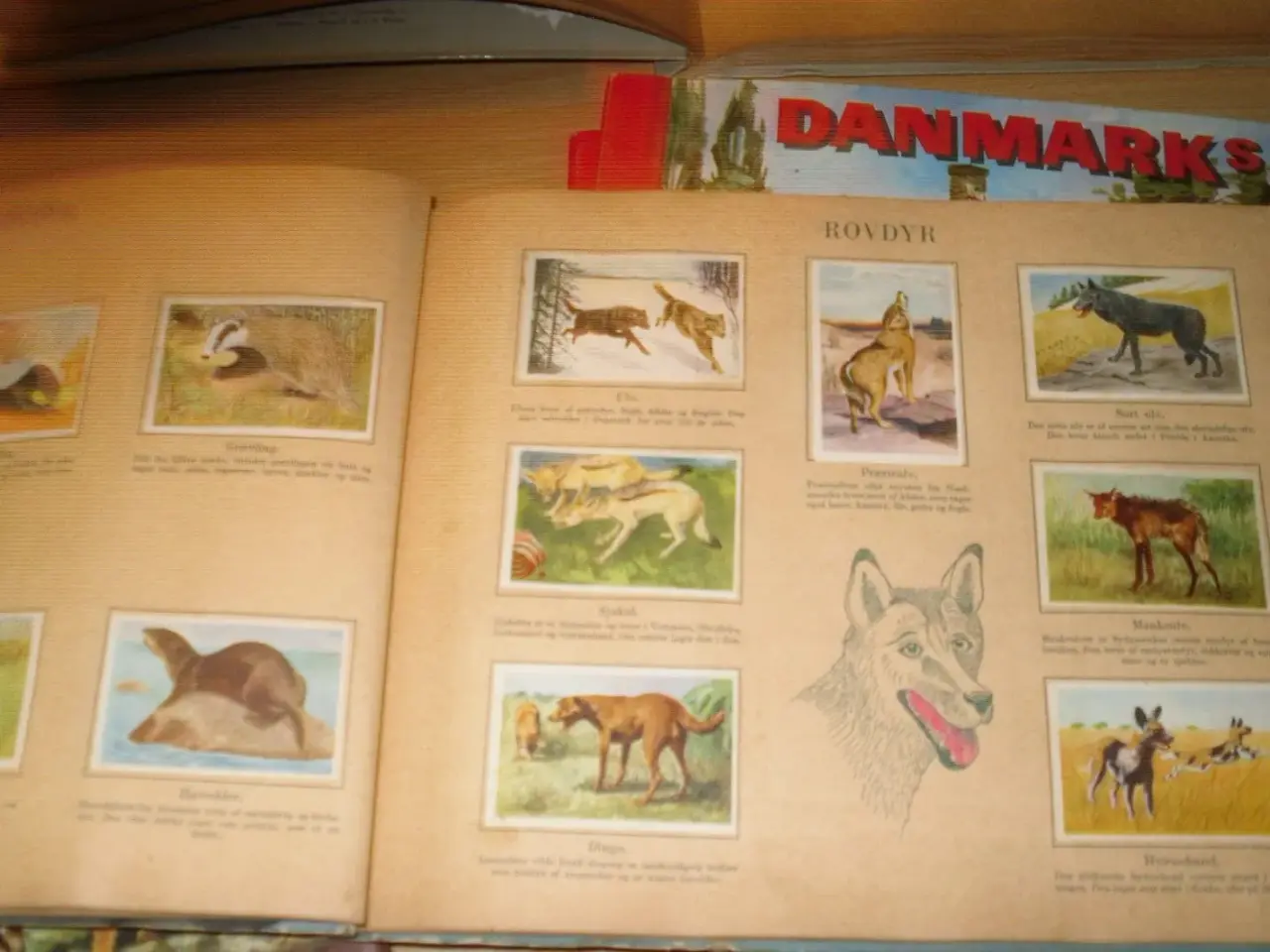Billede 5 - RICHS & Danmarks Serie. Komplet.