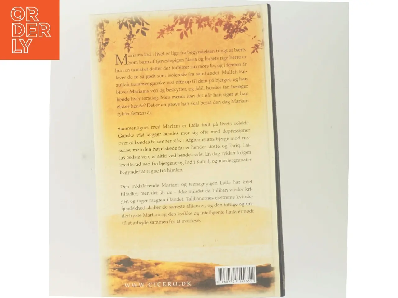 Billede 3 - Under en strålende sol af Khaled Hosseini (Bog)