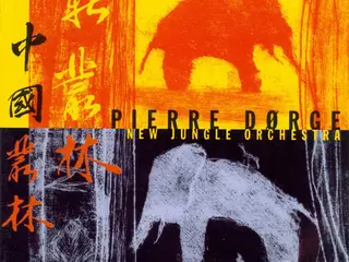 Pierre Dørge's New… – China Jungle – CD