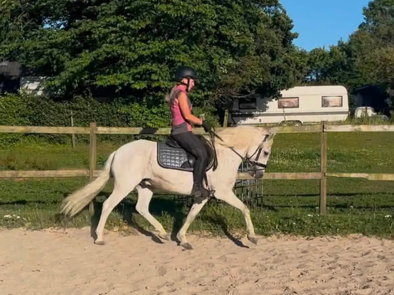 Billede 5 - Super skøn pony