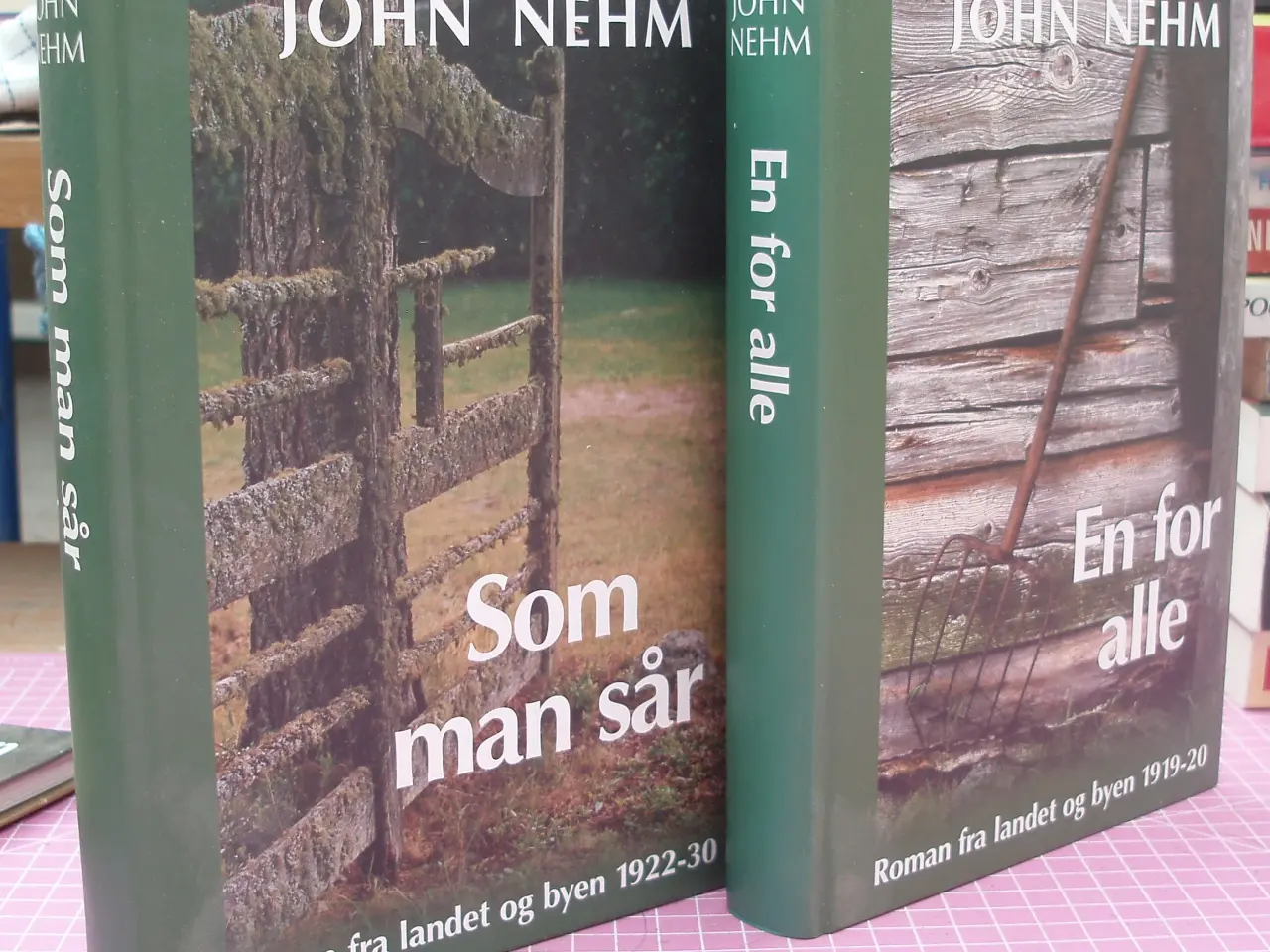 Billede 1 - Roman fra landet og byen af John Nehm