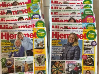 Hjemmet - uge 1-13, år 2026