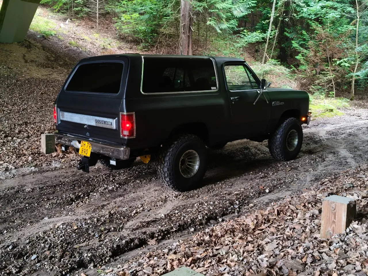 Billede 5 - Dodge Ramcharger