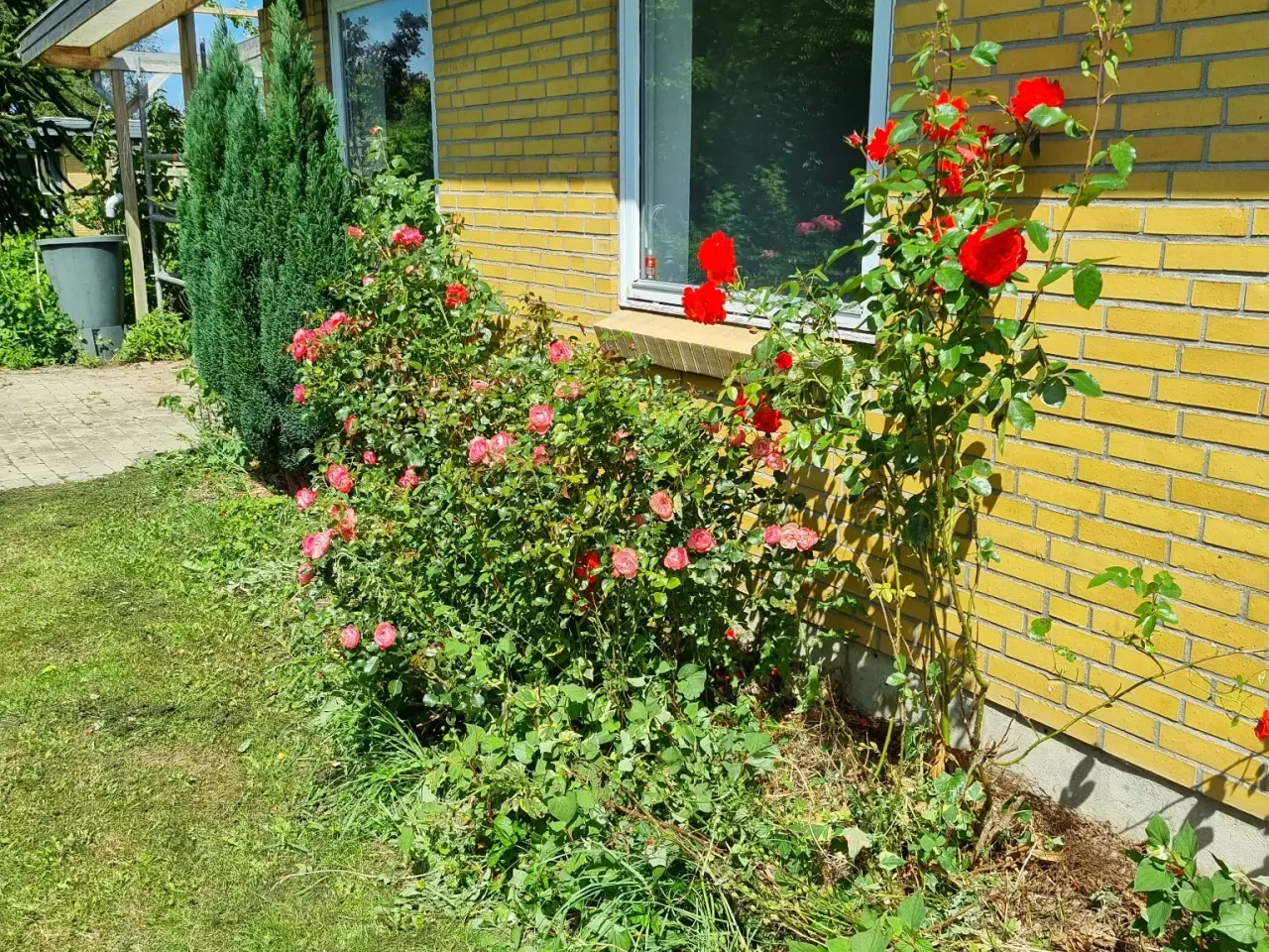 Billede 1 - Hus i Havnbjerg sælges