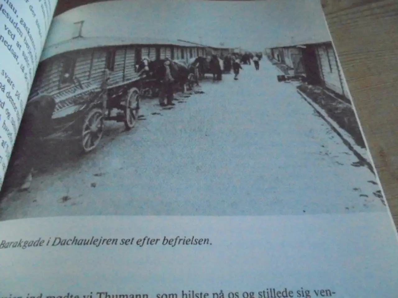 Billede 6 - Vi førte dem tilbage til livet – De hvide busser