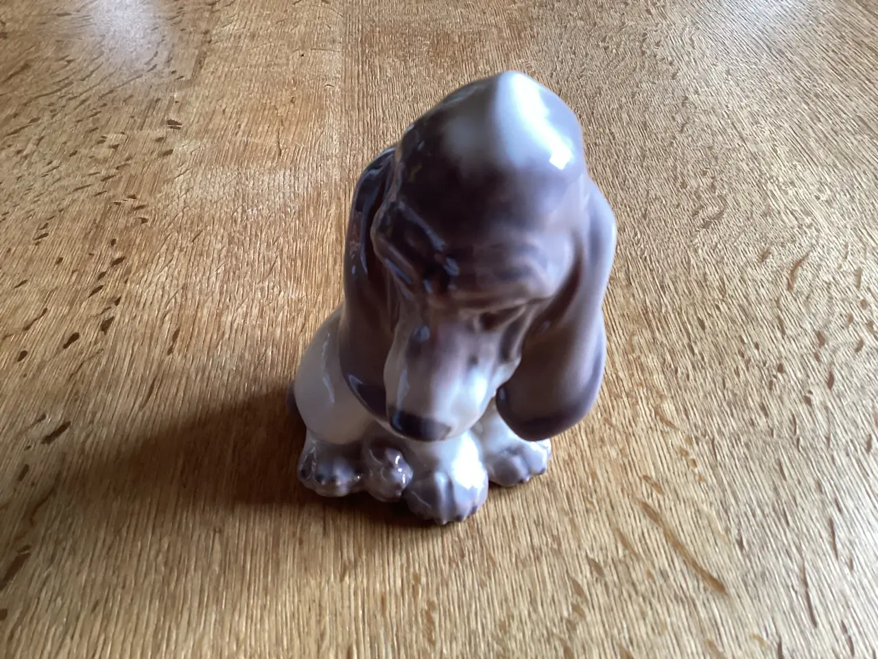 Billede 9 - Dahl Jensen siddende Basset hundehvalp nr 1065
