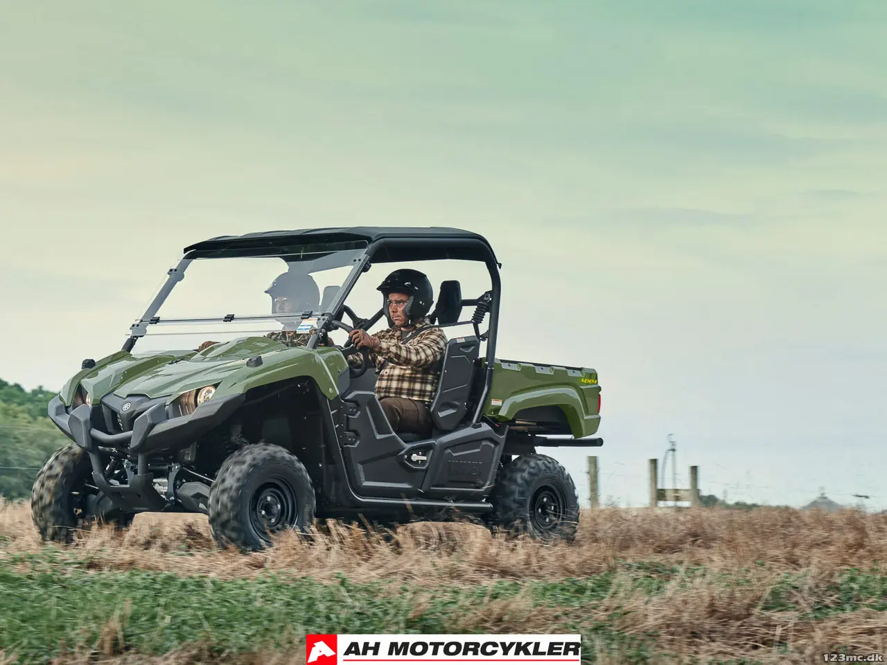 Billede 9 - Yamaha YXM 700 Viking EPS Yamaha Blue Traktor