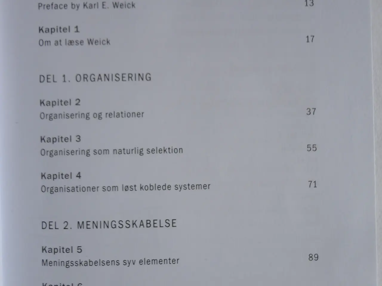 Billede 2 - Meningsskabelse, organisering og ledelse :