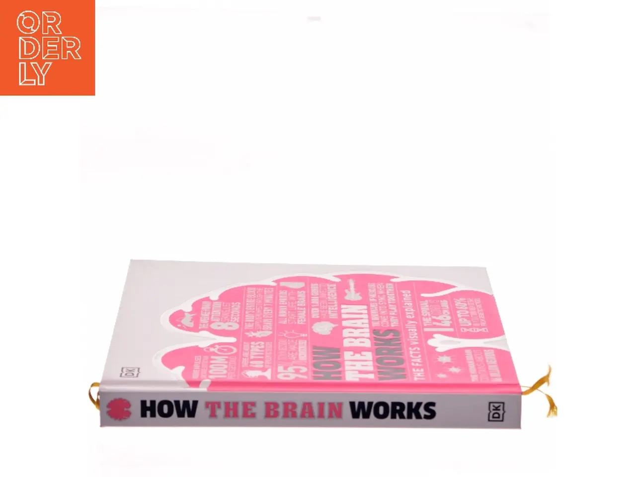 Billede 2 - How the brain works af DK (Bog)