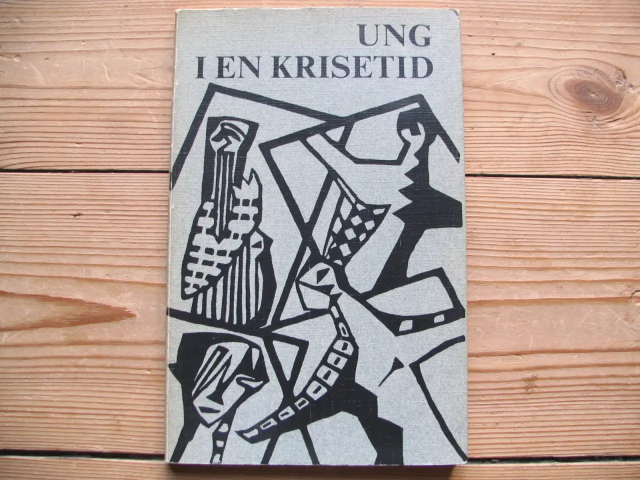 Billede 1 - Ung i en krisetid – Unge skriver digte