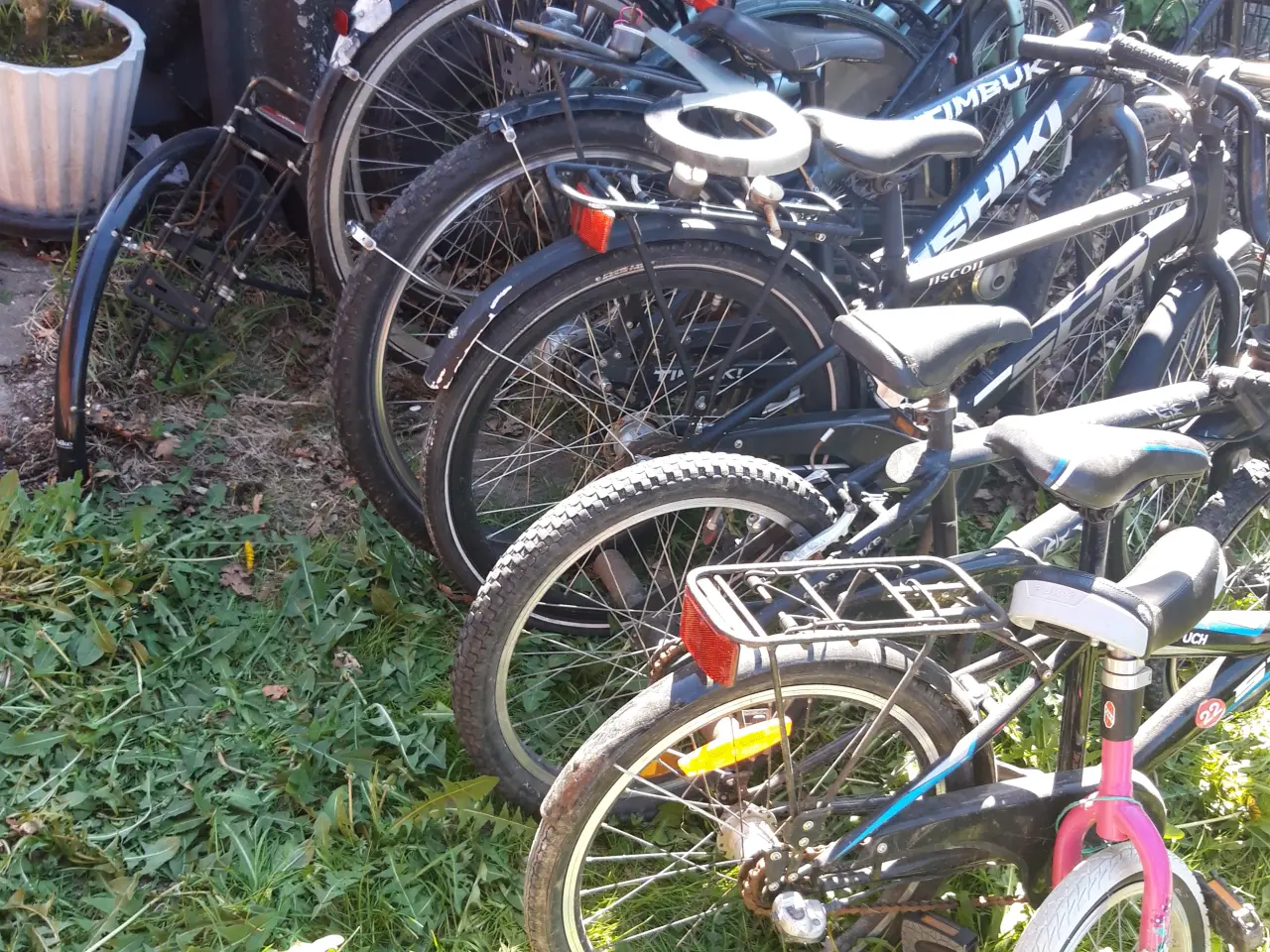 Billede 3 - 9 stk cykler i Børne/voksen str til ialt 900 kr