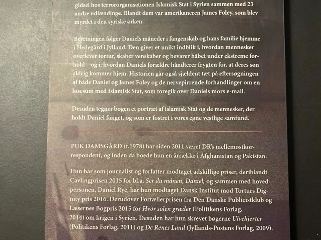 Billede 2 - Ser du månen, Daniel? af Puk Damsgård