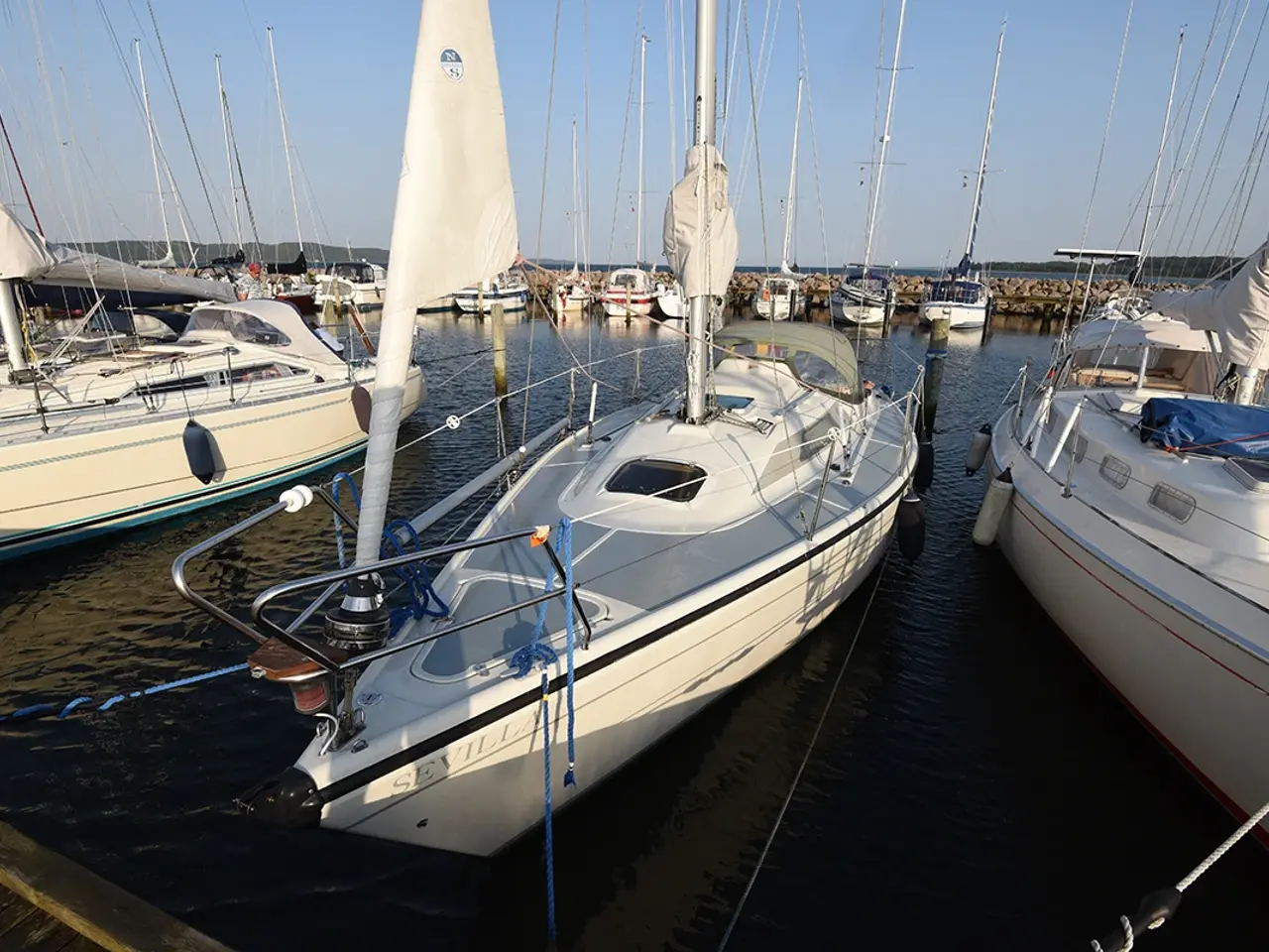 Billede 3 - Sejlbåd Dehler 31 Duetta fra 1988
