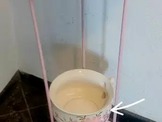 Servante